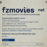 fzmovies net​